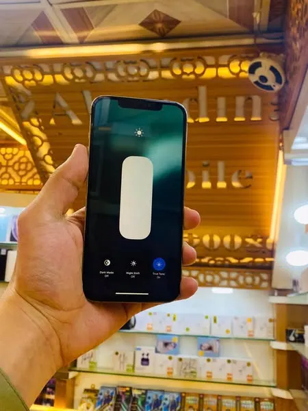 iPhone 12 Pro Max (2)