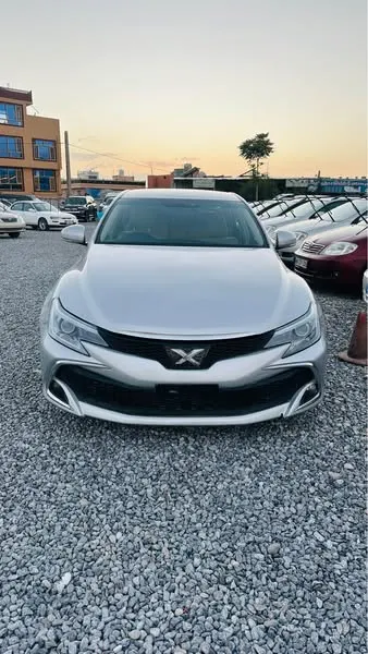 Toyota Mark X 2010 (1)
