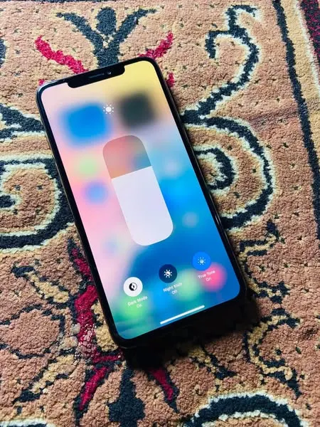 iPhone Xs Max (3)