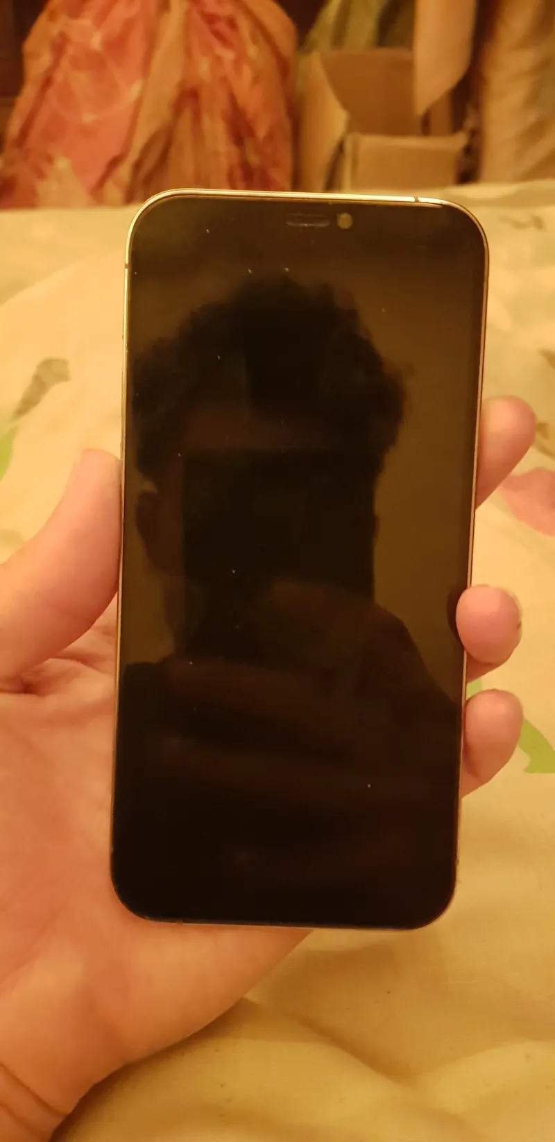 Iphon 12 pro (2)