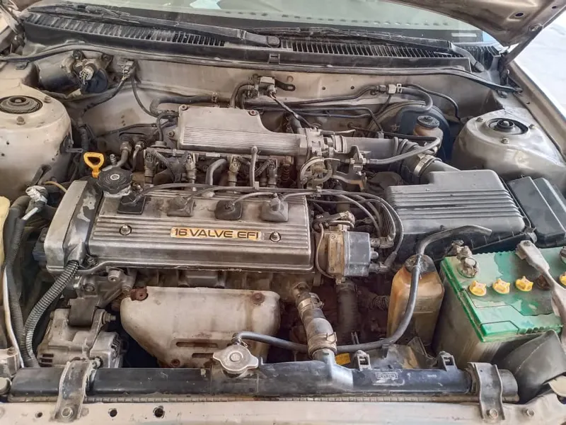 Toyota Corolla (1)