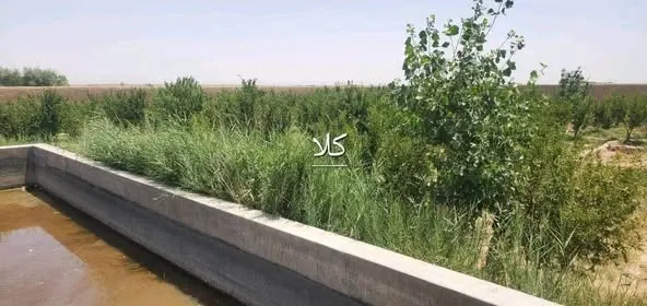 Land with house for sale, 65 jerib, 5 rooms, Kandahar (2)