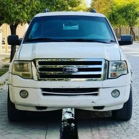 Ford 2008 (2)