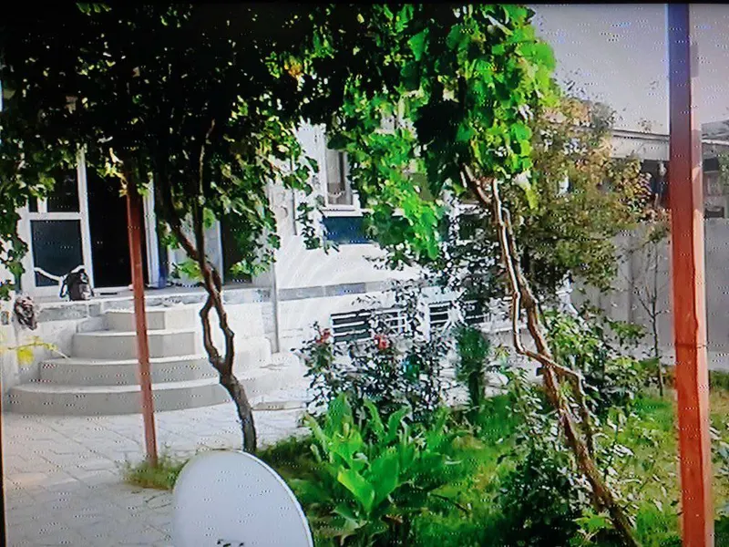 کور د پلورنې لپاره، 3 خونې، 250 m²، ده سبز، شهر نو کابل (4)