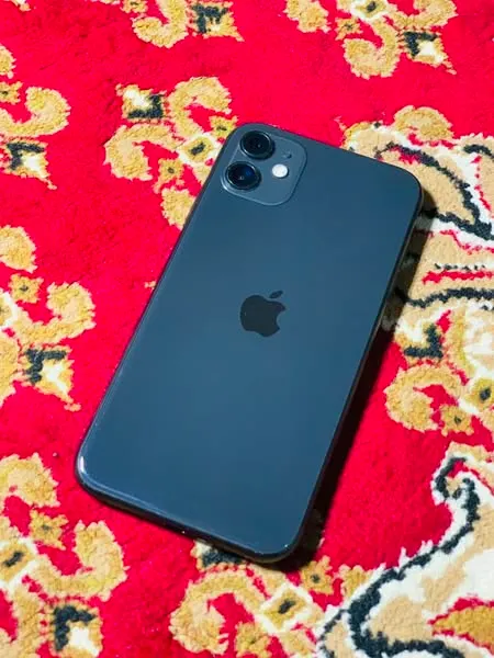 iPhone 11 (2)
