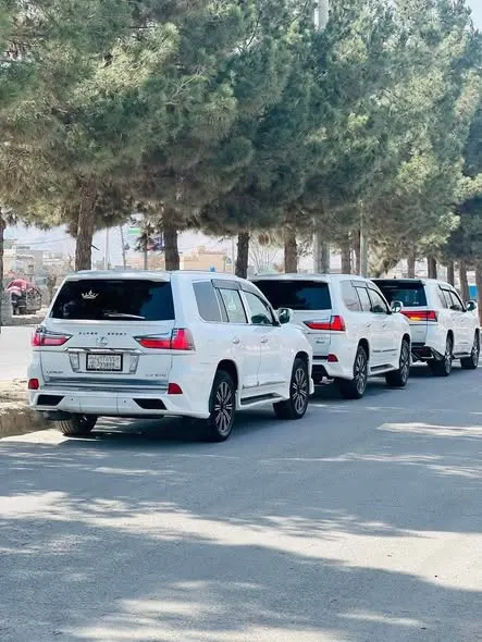 Lexus (4)
