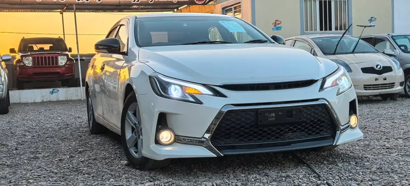 Toyota Mark X 2010 (1)