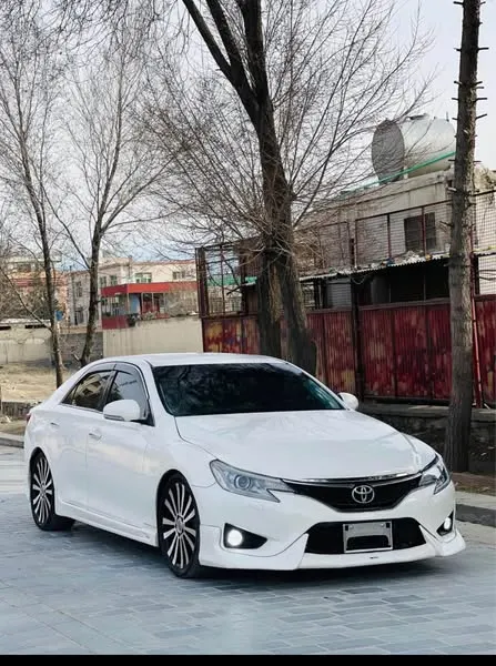 Toyota Mark X 2011 (1)