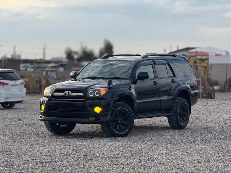 Toyota 4Runner 2009 (2)