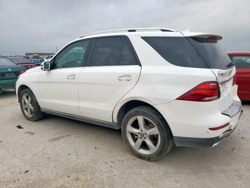 Mercedes-Benz 2017 (2)