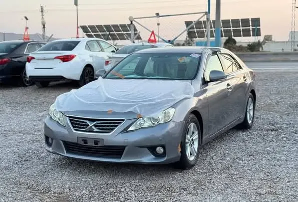 Toyota Mark X 2010 (2)