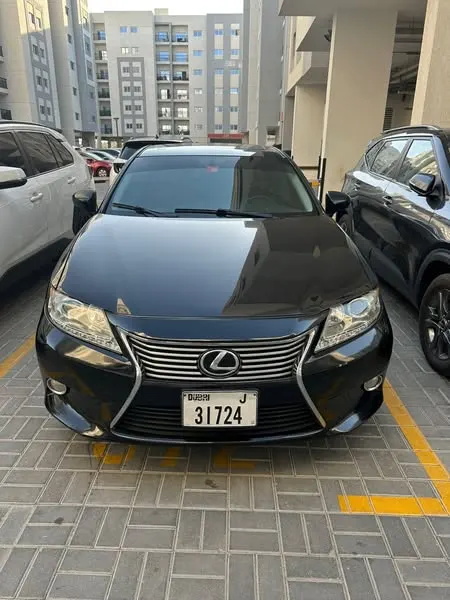 Lexus Sport 2014 (1)