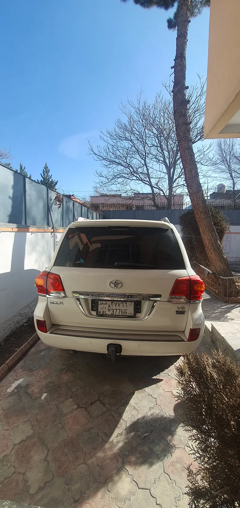 Toyota Land Cruiser 2010 (3)