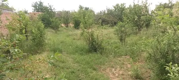 Farm land for sale, 1 jerib, Shakardara, Kabul (2)