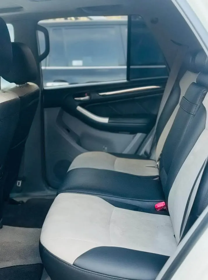Toyota 4Runner 2009 (4)