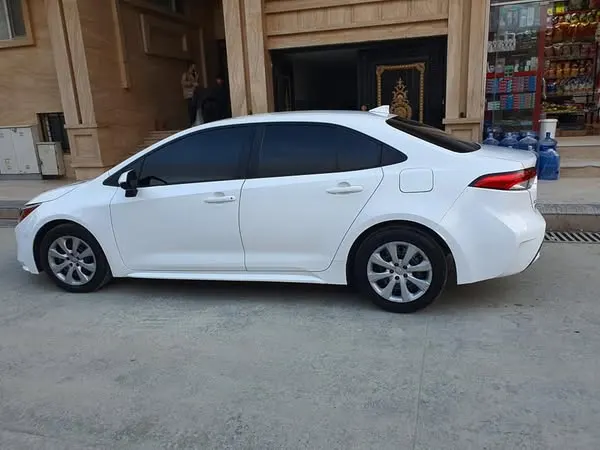 Toyota Corolla LE 2020 (1)