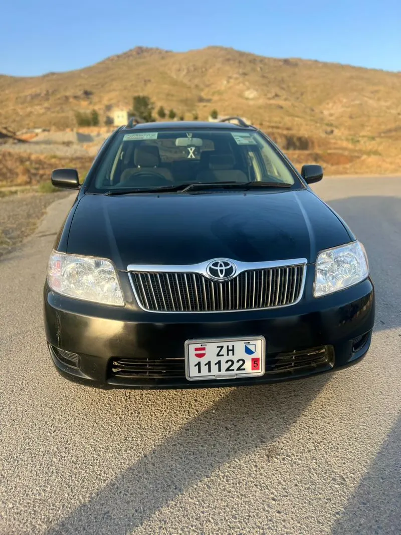 Toyota Fielder 2006 (6)