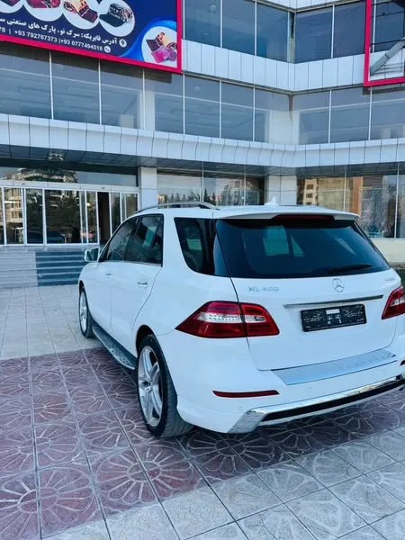 Mercedes-Benz 2015 (2)