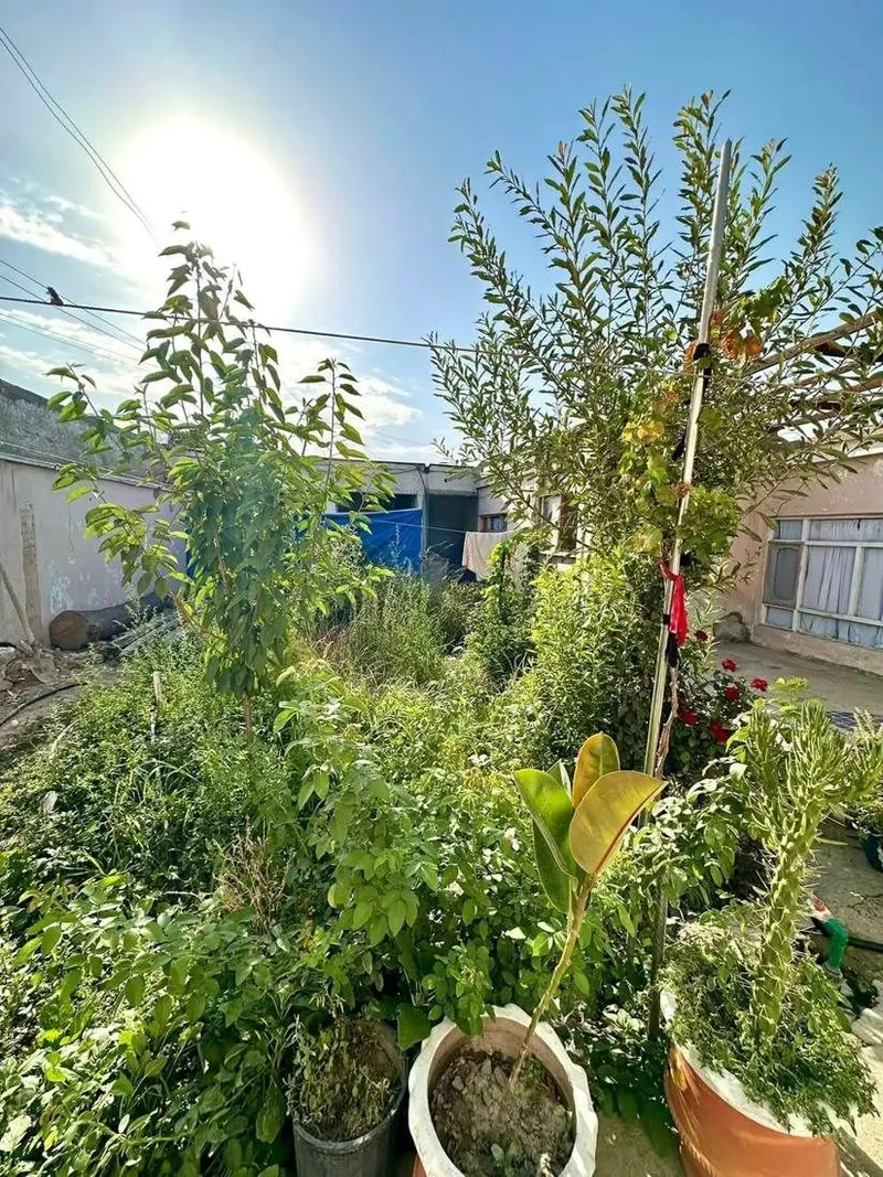 House in Chehelsotoon, Kabul (4)