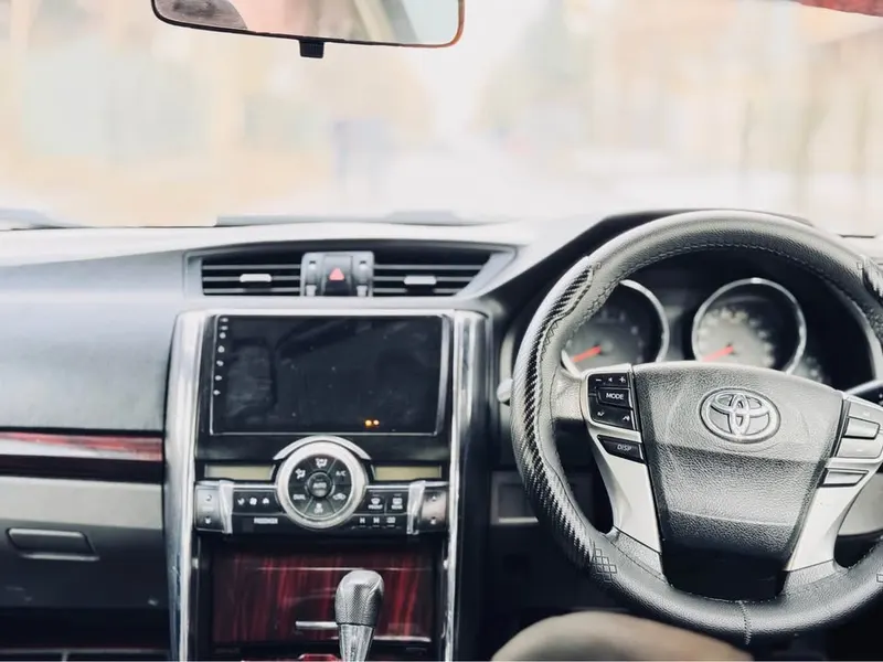 Toyota Mark X 2010 (3)