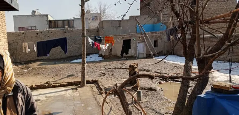کور د پلورنې لپاره، 4 خونې، 402 m²، پل پادشاه، سرک مکروریان 4 (3)