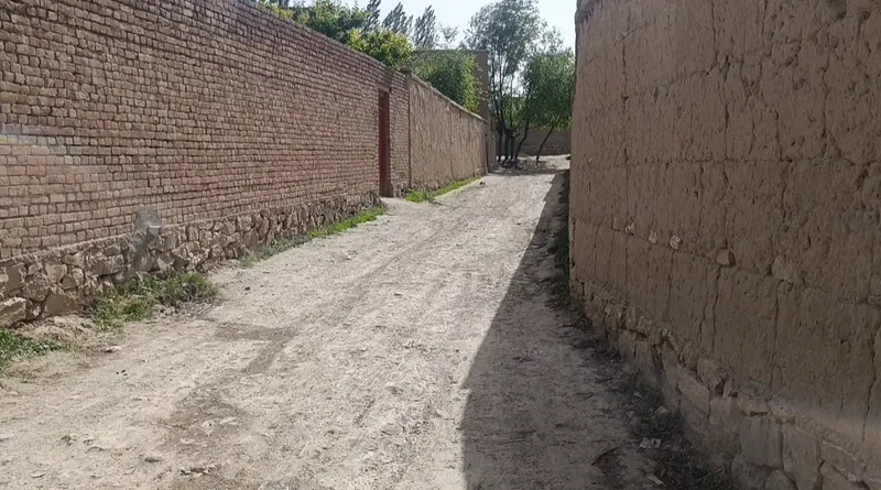 Apple orchard for sale, 6 jerib, Chehelten Karizak, Paghman (7)