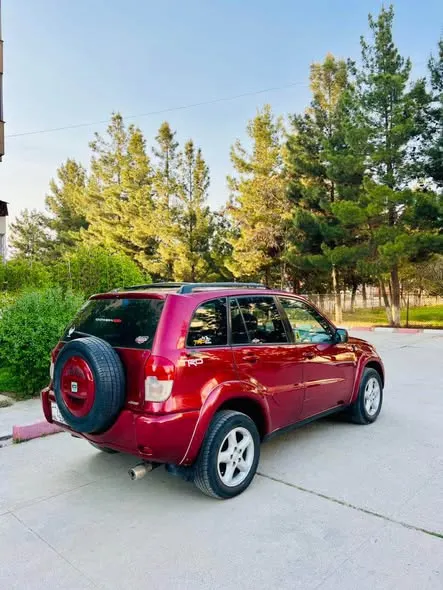Toyota Rav 4 2001 (3)