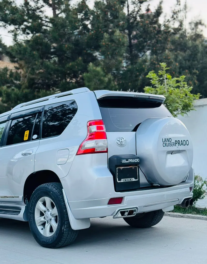 Toyota Land Cruiser 2010 (3)