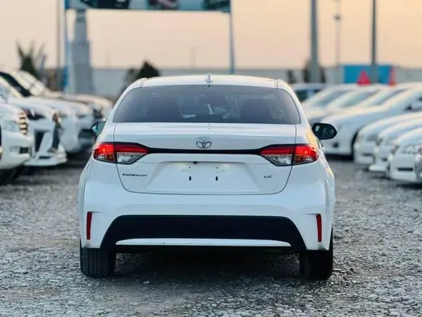 Toyota Corolla LE 2020 (3)