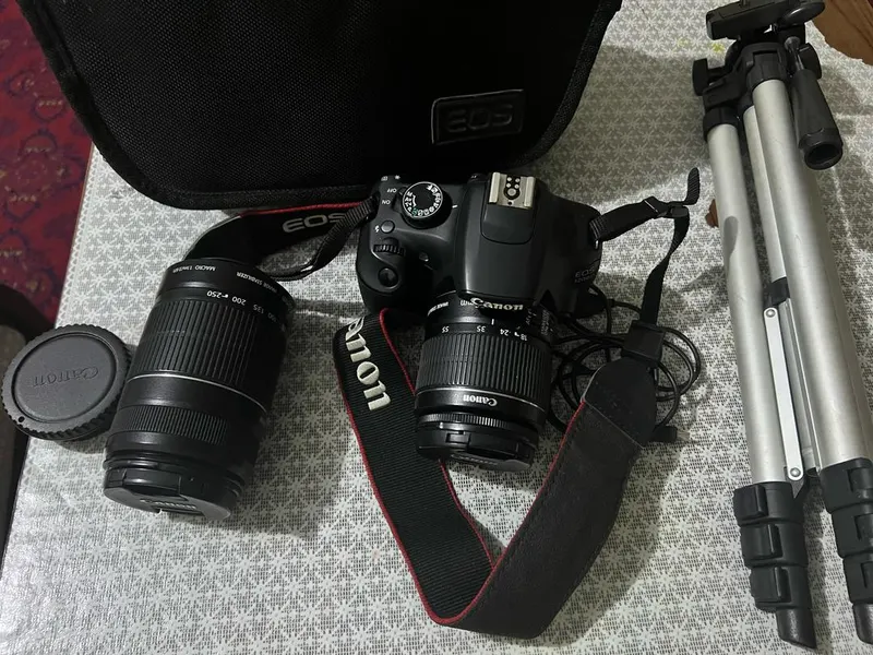 Canon D1200 (1)