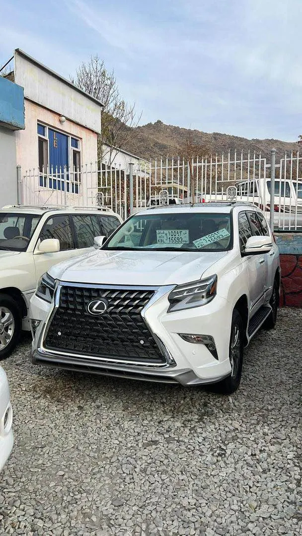 Lexus 2010 (1)