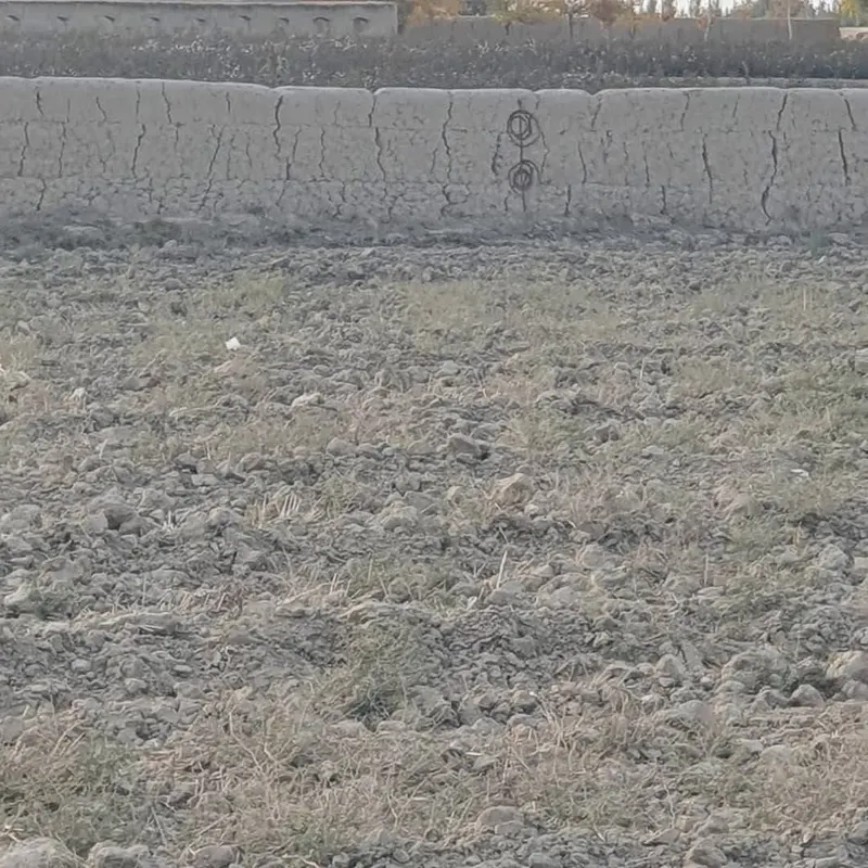 Farm land for sale, 35 jerib, near Pul-e Bangala, Balkh district (1)
