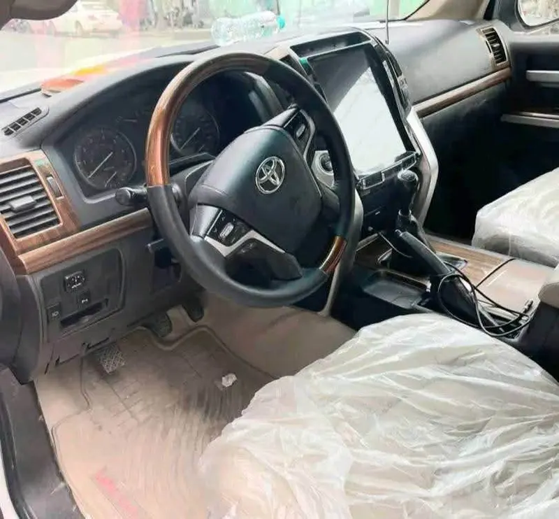 Toyota Land Cruiser 2010 (3)