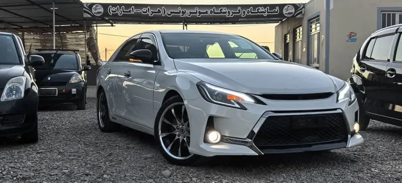 Toyota Mark X 2010 (1)