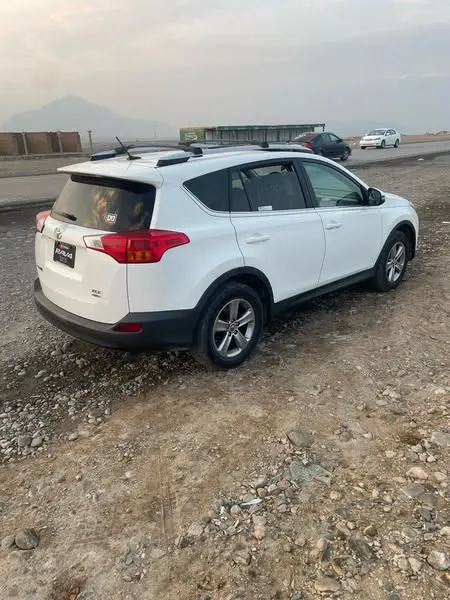 Toyota RAV4 XLE 2015 (3)