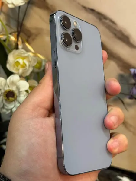 iPhone 13 Pro Max (2)