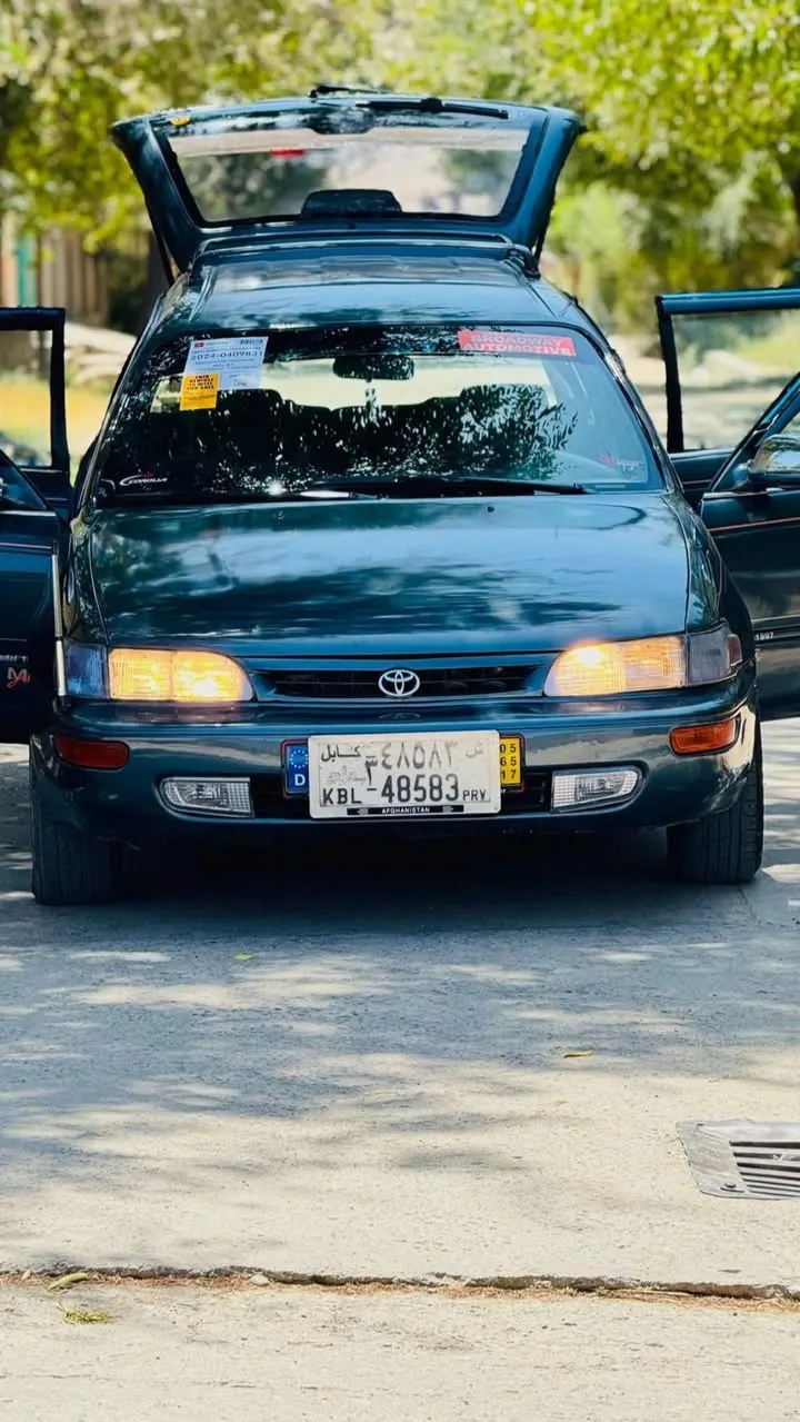 Toyota Fielder 1994 (1)
