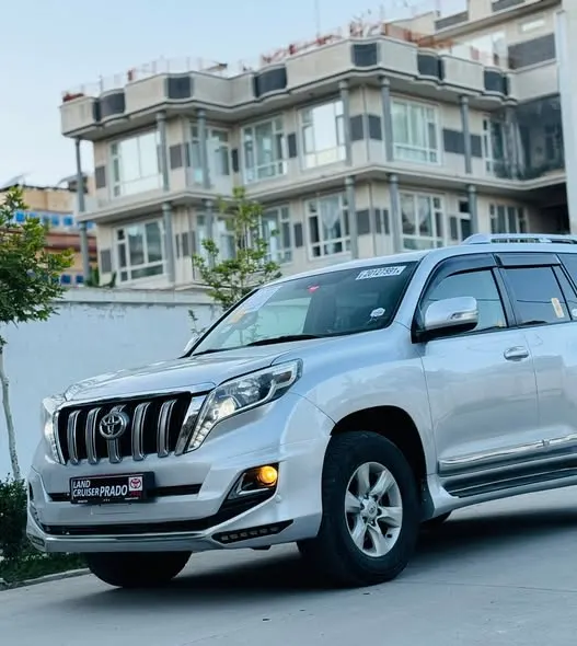 Toyota Land Cruiser 2010 (2)