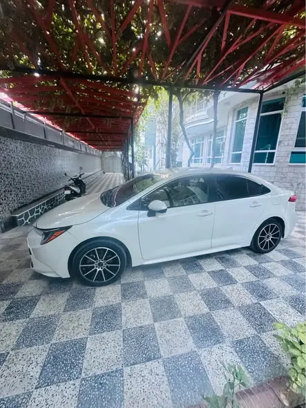 Toyota Corolla 2020 (2)