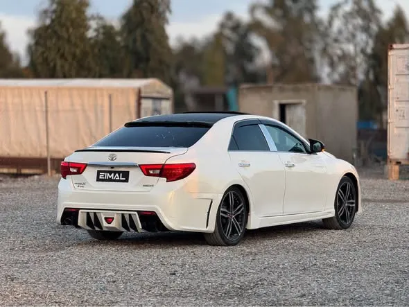 Toyota Mark X 2010 (3)