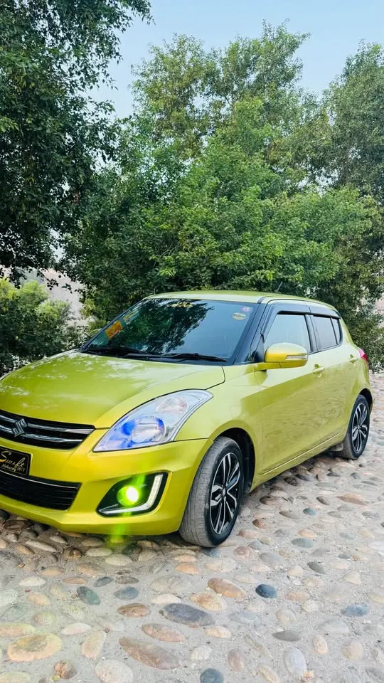 Suzuki 2016 (2)