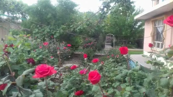 2-storey house for sale, 10 rooms, 2300 m², Baba Yadgar, Mazar-i-Sharif (4)