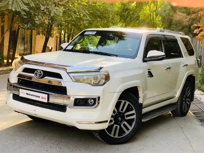 Toyota 4Runner 2011 (2)