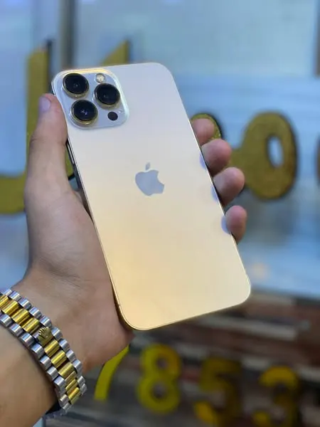 iPhone 13 Pro Max (1)
