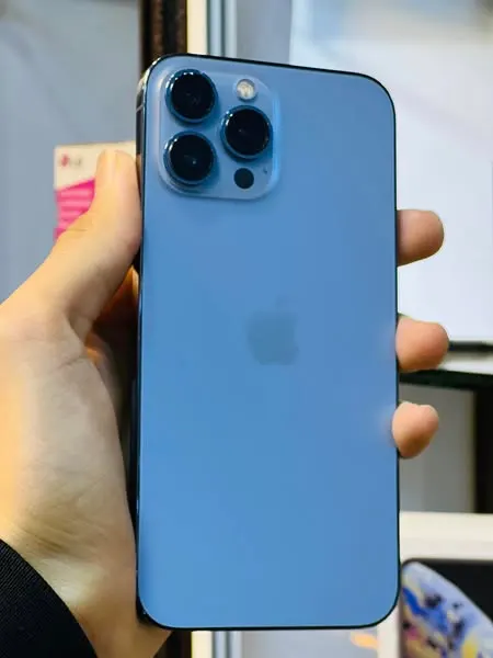 iPhone 13 Pro Max (1)
