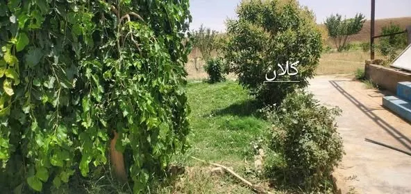 Land with house for sale, 65 jerib, 5 rooms, Kandahar (4)