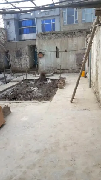 House with 2 shops for sale, 5 rooms, 3 biswa, Airport Road, District 9 (3)