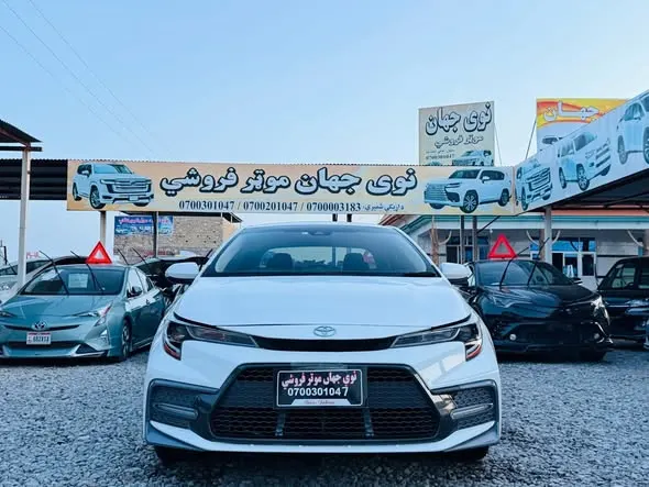 Toyota Corolla 2020 (2)