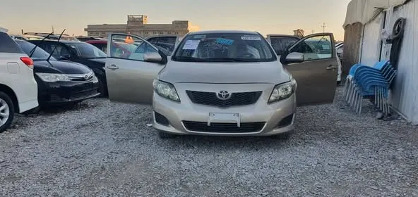 Toyota Corolla 2010 (1)