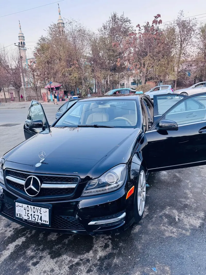 Mercedes-Benz 2014 (2)